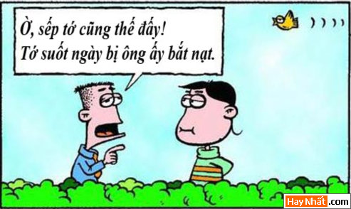 TRUYEN TRANH, TRUYỆN TRANH HÀI, TRUYEN TRANH VUI, TRUYEN TRANH HAI, TRUYỆN TRANH VUI, TRUYEN TRANH HAY NHAT, TRUYEN TRANH HAY NHẤT, TRUYỆN TRANH VUI NHẤT, TRUYỆN TRANH CHẾT CƯỜI