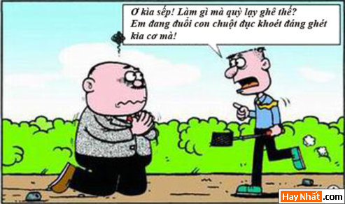 TRUYEN TRANH, TRUYỆN TRANH HÀI, TRUYEN TRANH VUI, TRUYEN TRANH HAI, TRUYỆN TRANH VUI, TRUYEN TRANH HAY NHAT, TRUYEN TRANH HAY NHẤT, TRUYỆN TRANH VUI NHẤT, TRUYỆN TRANH CHẾT CƯỜI