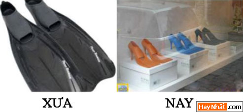 VUI NHáº¤T, VUI NHAT, HÃŒNH VUI, HINH VUI, áº¢NH VUI, ANH VUI, HÃŒNH áº¢NH VUI, HINH ANH VUI, ANH VUI NHAT, áº¢NH VUI NHáº¤T, HINH VUI NHAT, HÃŒNH VUI NHáº¤T, FUNNY PHOTO