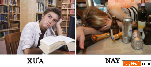 VUI NHáº¤T, VUI NHAT, HÃŒNH VUI, HINH VUI, áº¢NH VUI, ANH VUI, HÃŒNH áº¢NH VUI, HINH ANH VUI, ANH VUI NHAT, áº¢NH VUI NHáº¤T, HINH VUI NHAT, HÃŒNH VUI NHáº¤T, FUNNY PHOTO