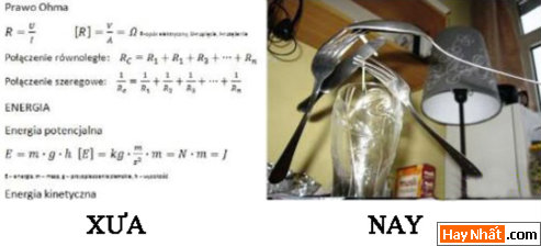 VUI NHáº¤T, VUI NHAT, HÃŒNH VUI, HINH VUI, áº¢NH VUI, ANH VUI, HÃŒNH áº¢NH VUI, HINH ANH VUI, ANH VUI NHAT, áº¢NH VUI NHáº¤T, HINH VUI NHAT, HÃŒNH VUI NHáº¤T, FUNNY PHOTO