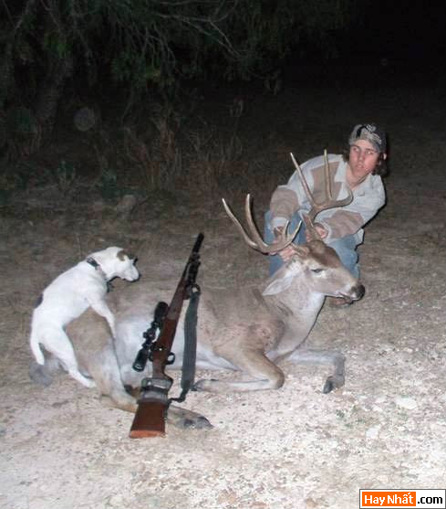 Dong vat, Động vật, Cuồng dâm, Dê, Chuyen ay, Sex, Làm tình, Hiếp dâm, Hinh vui, Hình vui, Hinh anh vui, Hình ảnh vui, Hình vui nhộn, Hinh Hai huoc