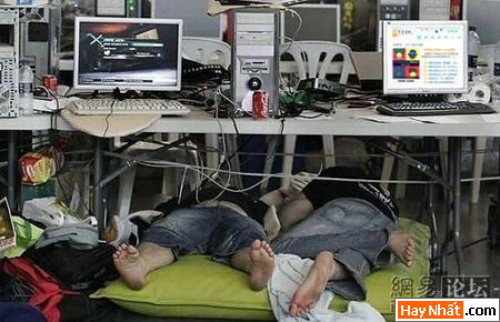 Computer, IT, Máy Vi Tính, Đam mê, Công nghệ, Công nghệ thông tin, CNTT, PC