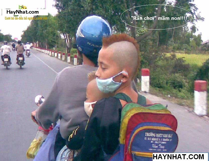 Hinh Vui, Hình Vui, Hình Ảnh Vui, Hinh Anh Vui, Hinh Hai Huoc, Hình Hài Hước