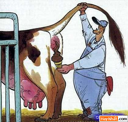 Hinh vui, Hình vui, Hình vui nhất, Hinh vui nhat, Tranh vui, Anh vui, Ảnh vui, Hinh anh vui, Hình Ảnh Vui