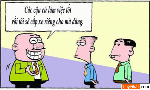 Sếp cũng nói dối