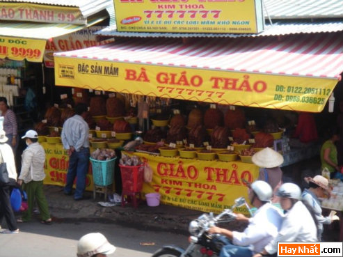 Vui, Hinh vui, Hình vui, Hình vui nhất, Hinh vui nhat, Tranh vui, Anh vui, Ảnh vui, Hinh anh vui, Hình Ảnh Vui