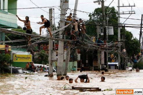 Vui, Hinh vui, Hình vui, Hình vui nhất, Hinh vui nhat, Tranh vui, Anh vui, Ảnh vui, Hinh anh vui, Hình Ảnh Vui