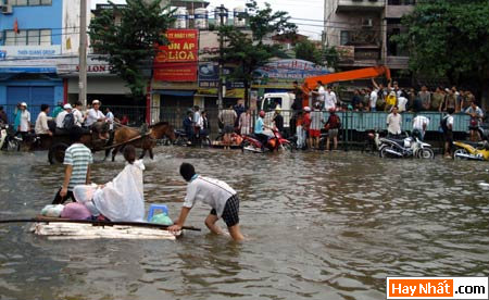 Hinh vui, Hình vui, Hình vui nhất, Hinh vui nhat, Tranh vui, Anh vui, Ảnh vui, Hinh anh vui, Hình Ảnh Vui