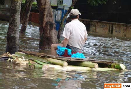 Hinh vui, Hình vui, Hình vui nhất, Hinh vui nhat, Tranh vui, Anh vui, Ảnh vui, Hinh anh vui, Hình Ảnh Vui