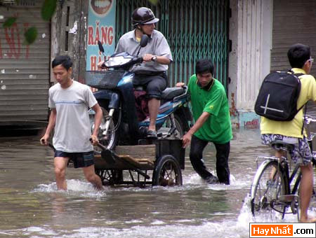 Hinh vui, Hình vui, Hình vui nhất, Hinh vui nhat, Tranh vui, Anh vui, Ảnh vui, Hinh anh vui, Hình Ảnh Vui