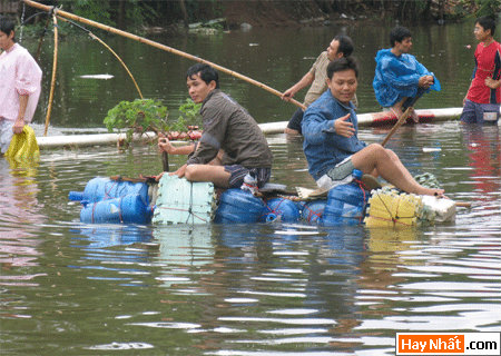 Hinh vui, Hình vui, Hình vui nhất, Hinh vui nhat, Tranh vui, Anh vui, Ảnh vui, Hinh anh vui, Hình Ảnh Vui