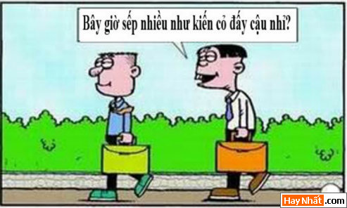 Kiếp nhân viên: Ai gọi sếp?