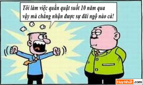 Kiếp nhân viên: Đãi ngộ