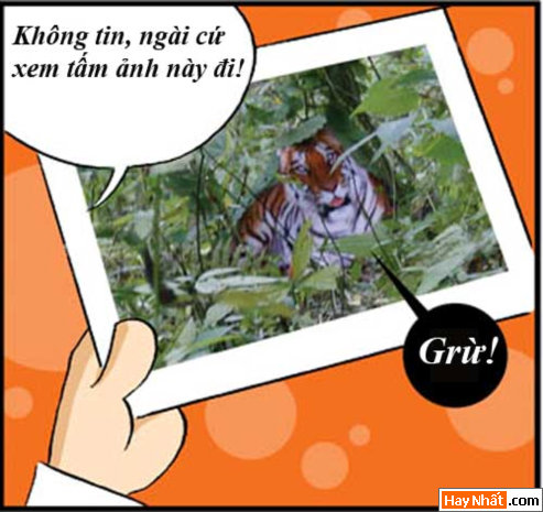 Truyện Tây Du Ký, Tân Tây Du Ký, Truyen Tay Du Ky, Tan Tay Du Ky, Ton Ngo Khong, Tôn Ngộ Không, tay du ky, tan tay du ky, tay du ky hai, truyen cuoi, chuyen cuoi, truyen tranh, hai huoc, ngo khong, su phụ