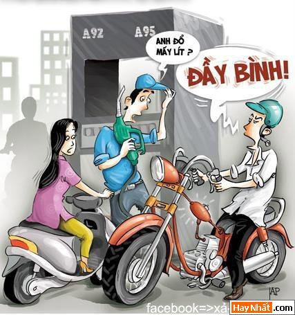 Vui, Hinh vui, Hình vui, Hình vui nhất, Hinh vui nhat, Tranh vui, Anh vui, Ảnh vui, Hinh anh vui, Hình Ảnh Vui, Hinh hai huoc, Hình hài hước, Hình ảnh hài hước, Hinh anh hai huoc, Funny Photo, Funny, Fun Photo