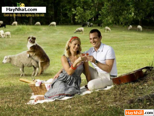 Vui, Hinh vui, Hình vui, Hình vui nhất, Hinh vui nhat, Tranh vui, Anh vui, Ảnh vui, Hinh anh vui, Hình Ảnh Vui