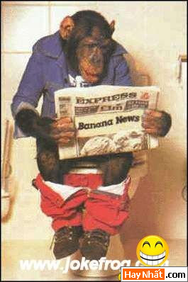 Vui, Hinh vui, Hình vui, Hình vui nhất, Hinh vui nhat, Tranh vui, Anh vui, Ảnh vui, Hinh anh vui, Hình Ảnh Vui