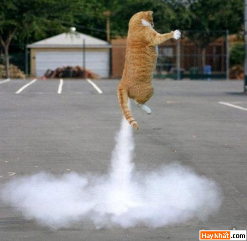 Vui, Hinh vui, Hình vui, Hình vui nhất, Hinh vui nhat, Tranh vui, Anh vui, Ảnh vui, Hinh anh vui, Hình Ảnh Vui