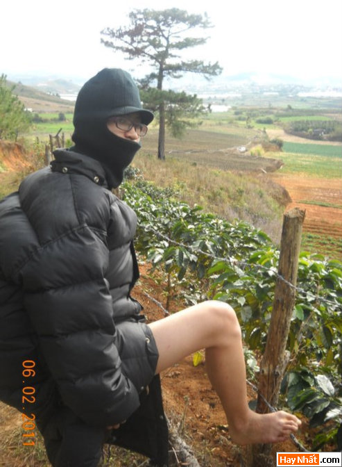 Vui, Hinh vui, Hình vui, Hình vui nhất, Hinh vui nhat, Tranh vui, Anh vui, Ảnh vui, Hinh anh vui, Hình Ảnh Vui