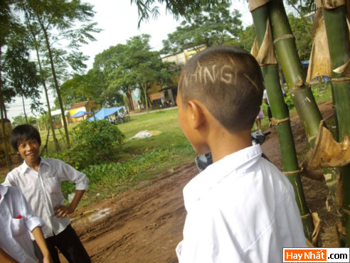 Vui, Hinh vui, Hình vui, Hình vui nhất, Hinh vui nhat, Tranh vui, Anh vui, Ảnh vui, Hinh anh vui, Hình Ảnh Vui