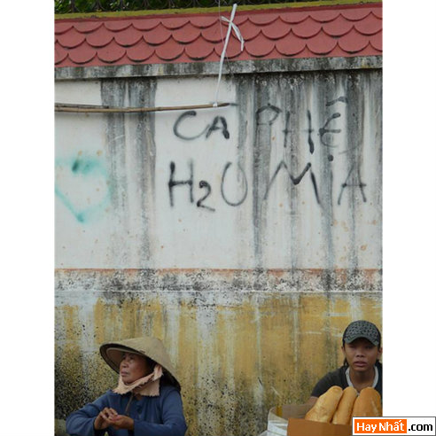 Vui, Hinh vui, Hình vui, Hình vui nhất, Hinh vui nhat, Tranh vui, Anh vui, Ảnh vui, Hinh anh vui, Hình Ảnh Vui