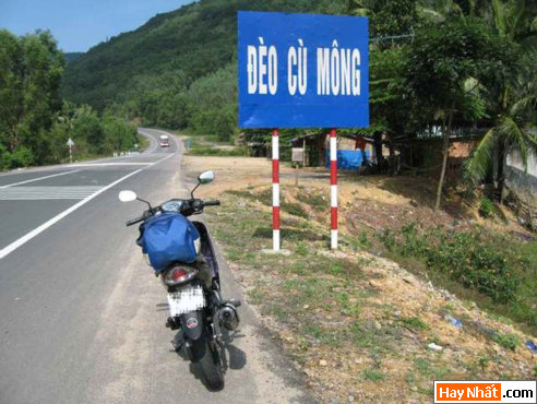 Vui, Hinh vui, Hình vui, Hình vui nhất, Hinh vui nhat, Tranh vui, Anh vui, Ảnh vui, Hinh anh vui, Hình Ảnh Vui