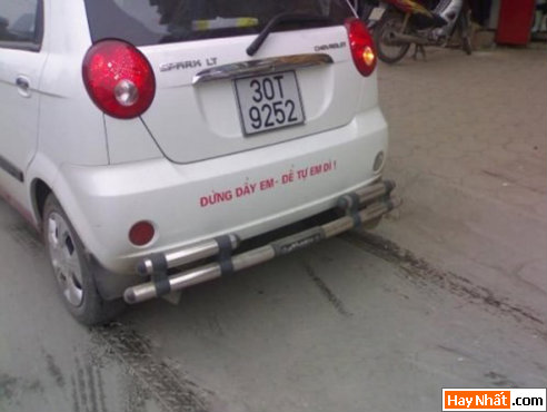 Vui, Hinh vui, Hình vui, Hình vui nhất, Hinh vui nhat, Tranh vui, Anh vui, Ảnh vui, Hinh anh vui, Hình Ảnh Vui