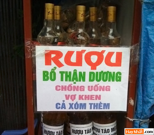 Vui, Hinh vui, Hình vui, Hình vui nhất, Hinh vui nhat, Tranh vui, Anh vui, Ảnh vui, Hinh anh vui, Hình Ảnh Vui