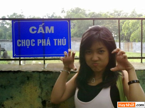 Vui, Hinh vui, Hình vui, Hình vui nhất, Hinh vui nhat, Tranh vui, Anh vui, Ảnh vui, Hinh anh vui, Hình Ảnh Vui, Hinh hai huoc, Hình hài hước, Hình ảnh hài hước, Hinh anh hai huoc, Funny Photo, Funny, Fun Photo