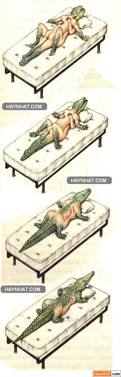 Vui, Hinh vui, Hình vui, Hình vui nhất, Hinh vui nhat, Tranh vui, Anh vui, Ảnh vui, Hinh anh vui, Hình Ảnh Vui, Hinh hai huoc, Hình hài hước, Hình ảnh hài hước, Hinh anh hai huoc, Funny Photo, Funny, Fun Photo