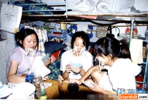 Vui, Hinh vui, Hình vui, Hình vui nhất, Hinh vui nhat, Tranh vui, Anh vui, Ảnh vui, Hinh anh vui, Hình Ảnh Vui, Hinh hai huoc, Hình hài hước, Hình ảnh hài hước, Hinh anh hai huoc, Funny Photo, Funny, Fun Photo