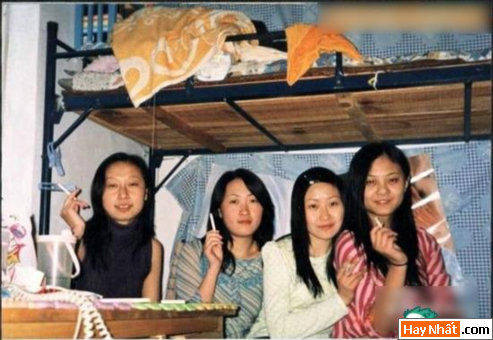 Vui, Hinh vui, Hình vui, Hình vui nhất, Hinh vui nhat, Tranh vui, Anh vui, Ảnh vui, Hinh anh vui, Hình Ảnh Vui, Hinh hai huoc, Hình hài hước, Hình ảnh hài hước, Hinh anh hai huoc, Funny Photo, Funny, Fun Photo