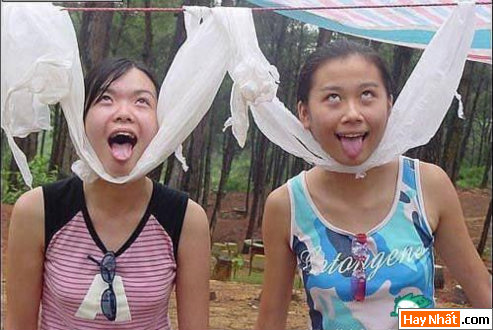 Vui, Hinh vui, Hình vui, Hình vui nhất, Hinh vui nhat, Tranh vui, Anh vui, Ảnh vui, Hinh anh vui, Hình Ảnh Vui, Hinh hai huoc, Hình hài hước, Hình ảnh hài hước, Hinh anh hai huoc, Funny Photo, Funny, Fun Photo