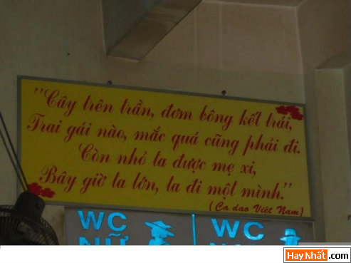 Vui, Hinh vui, Hình vui, Hình vui nhất, Hinh vui nhat, Tranh vui, Anh vui, Ảnh vui, Hinh anh vui, Hình Ảnh Vui, Hinh hai huoc, Hình hài hước, Hình ảnh hài hước, Hinh anh hai huoc, Funny Photo, Funny, Fun Photo