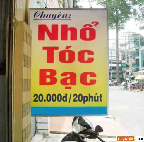 Vui, Hinh vui, Hình vui, Hình vui nhất, Hinh vui nhat, Tranh vui, Anh vui, Ảnh vui, Hinh anh vui, Hình Ảnh Vui, Hinh hai huoc, Hình hài hước, Hình ảnh hài hước, Hinh anh hai huoc, Funny Photo, Funny, Fun Photo