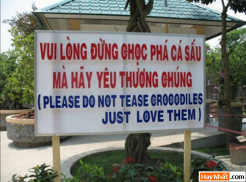 Vui, Hinh vui, Hình vui, Hình vui nhất, Hinh vui nhat, Tranh vui, Anh vui, Ảnh vui, Hinh anh vui, Hình Ảnh Vui, Hinh hai huoc, Hình hài hước, Hình ảnh hài hước, Hinh anh hai huoc, Funny Photo, Funny, Fun Photo