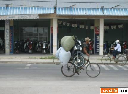 Vui, Hinh vui, Hình vui, Hình vui nhất, Hinh vui nhat, Tranh vui, Anh vui, Ảnh vui, Hinh anh vui, Hình Ảnh Vui, Hinh hai huoc, Hình hài hước, Hình ảnh hài hước, Hinh anh hai huoc, Funny Photo, Funny, Fun Photo