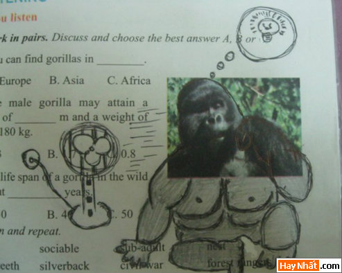 Vui, Hinh vui, Hình vui, Hình vui nhất, Hinh vui nhat, Tranh vui, Anh vui, Ảnh vui, Hinh anh vui, Hình Ảnh Vui, Hinh hai huoc, Hình hài hước, Hình ảnh hài hước, Hinh anh hai huoc, Funny Photo, Funny, Fun Photo