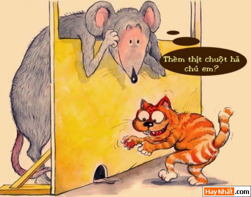 Vui, Hinh vui, Hình vui, Hình vui nhất, Hinh vui nhat, Tranh vui, Anh vui, Ảnh vui, Hinh anh vui, Hình Ảnh Vui, Hinh hai huoc, Hình hài hước, Hình ảnh hài hước, Hinh anh hai huoc, Funny Photo, Funny, Fun Photo