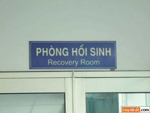 Vui, Hinh vui, Hình vui, Hình vui nhất, Hinh vui nhat, Tranh vui, Anh vui, Ảnh vui, Hinh anh vui, Hình Ảnh Vui, Hinh hai huoc, Hình hài hước, Hình ảnh hài hước, Hinh anh hai huoc, Funny Photo, Funny, Fun Photo