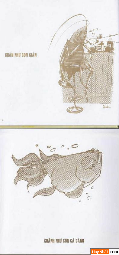 Truyện Tranh Việt Nam, "Sát Thủ Đầu Mưng Mủ",Sát Thủ Đầu Mưng Mủ,Sát Thủ Đầu Mưng Mủ Full, Truyện Tranh Sát Thủ Đầu Mưng Mủ, Truyen Tranh, Truyen Tranh Hai Huoc, Truyen Tranh vui