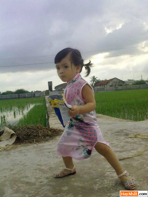 Vui, Hinh vui, Hình vui, Hình vui nhất, Hinh vui nhat, Tranh vui, Anh vui, Ảnh vui, Hinh anh vui, Hình Ảnh Vui, Hinh hai huoc, Hình hài hước, Hình ảnh hài hước, Hinh anh hai huoc, Funny Photo, Funny, Fun Photo
