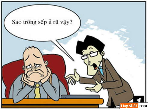 Kiếp nhân viên: Sếp buồn