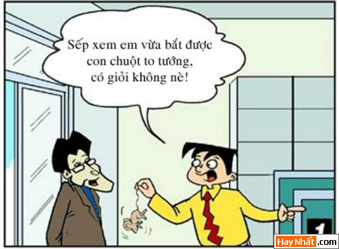 Kiếp nhân viên: Nguyên nhân sâu xa