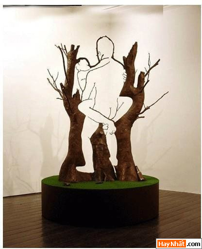 Nghệ thuật Bonsai 2