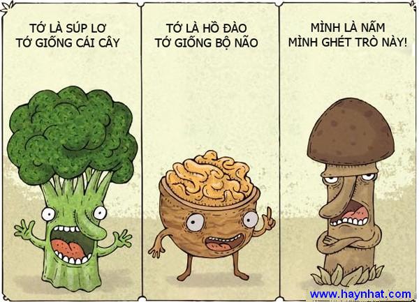 Nấm tình yêu