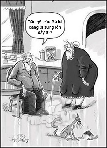 Ảnh vui tổng hợp 8