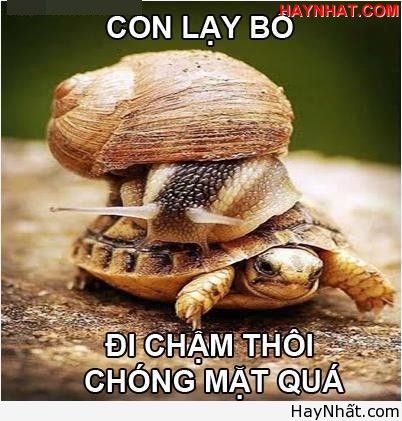 Liên khúc cười (Part 2) 10