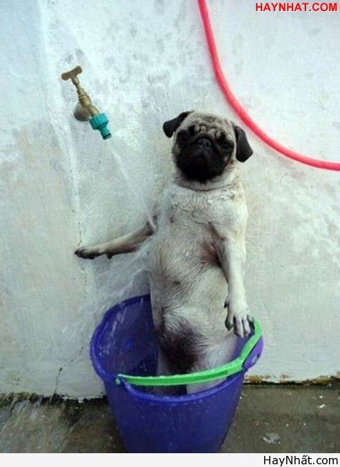 Liên khúc cười (Part 3) 7